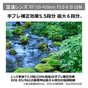 【追加レンズセット】 キヤノン ミラーレス カメラ EOS R6 MarkⅡ レンズキット & 望遠レンズ キャノン _0055C