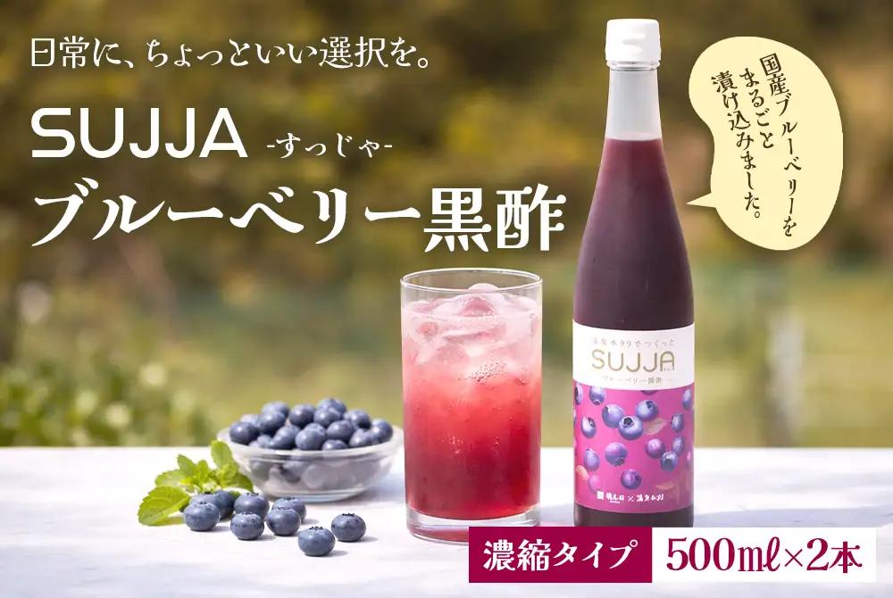 B2-0865／SUJJA ブルーベリー黒酢 2本セット