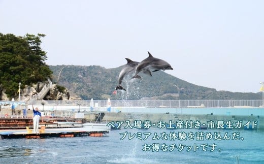 【つくみイルカ島 / お土産付】市長が案内する「つくみイルカ島」体験チケット ペア入場券 | イルカ体験 イルカ島 いるか 体験チケット 体験ちけっと たいけんチケット 大分県 九州 津久見市 【ts
