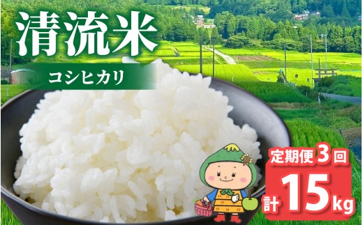 【先行予約】【令和7年産 新米】【3ヶ月定期便】【福井県大野市】さかだに棚田清流米！(コシヒカリ)5kg × 3回 計15kg「今話題の、あのバンドのロケ地！」#🍏