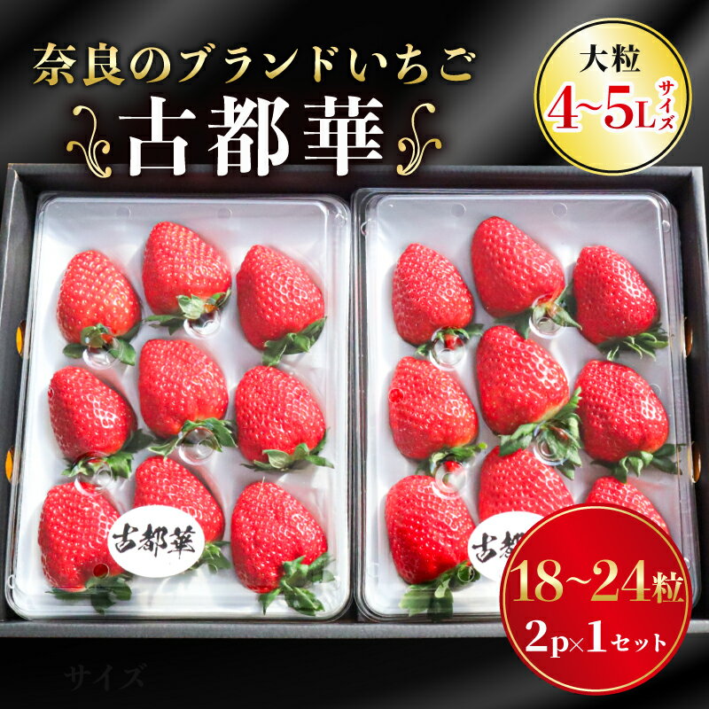 【ふるさと納税】 いちご 古都華 大粒 ことか 18~24粒 1セット 4~5Lサイズ 古都華 化粧箱 数量限定 苺 イチゴ 季節限定 旬 完熟 大粒 フルーツ 果物 スイーツ スムージー ケーキ 産地直送 新鮮 贈答 お歳暮 ギフト プレゼント 古都華カンパニー 奈良県 奈良市