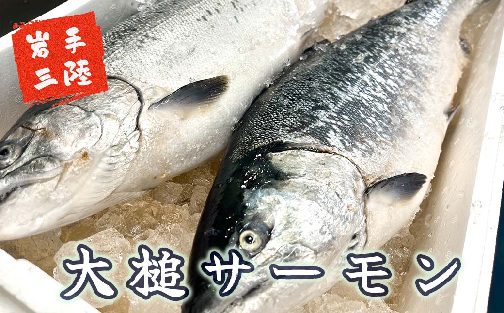 【6ヶ月 定期便】大槌銀鮭(ひと塩)切り身8切(1切れ真空包装約80g〜100g)×6回 計48切