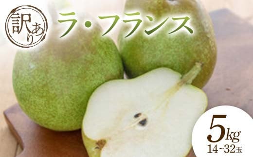 【2025年発送 先行予約】訳あり ラ・フランス 約5kg 14～32玉 なし ナシ 梨 デザート フルーツ 果物 くだもの 果実 食品 山形県 FSY-0697