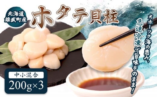 
            北海道雄武町産ほたて貝柱 中小混合 200g×3 (冷凍) 使い切りパック | ふるさと納税 北海道 雄武 ホタテ 帆立 ほたて 小粒 中粒 大粒 200g×3　600ｇ 冷凍 オホーツク オホーツク産 刺身 魚貝 魚介 海鮮 海産 海産物 魚介類 お取り寄せ ワンストップ マイページ 雄武漁業協同組合【0713404】
          