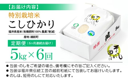 新米 令和7年産 米 定期便 ≪6ヶ月連続お届け≫ 特別栽培米 コシヒカリ 5kg × 6回 福井県産米（有機肥料100% 農薬7割減）【人気品種 こしひかり 計30キロ】 [e10-j003]
