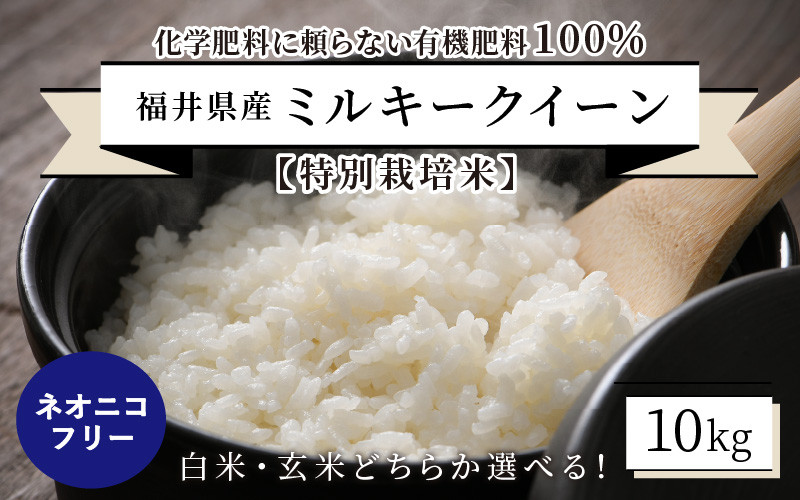 
            【先行予約】【令和7年産・新米】【特別栽培米】福井県産 ミルキークイーン 10kg ～化学肥料にたよらない100%の有機肥料～ ネオニコフリー 【2025年10月上旬以降順次発送予定】 [A-13406]
          