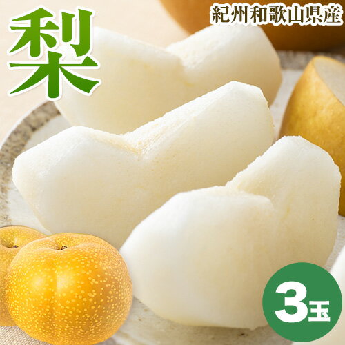 【ふるさと納税】紀州和歌山県産の梨 3玉 化粧箱入 魚鶴商店《8月中旬-9月上旬より発送予定(土日祝除く)》和歌山県 日高町 和歌山県産 梨 なし ナシ 贈り物 ギフト