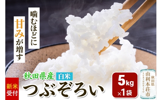 《新米受付》令和8年産【白米】つぶぞろい 5kg 秋田県由利本荘市産 [新米予約 米 お米 白米 精米 つぶぞろい 粒ぞろい 大粒 粒が大きい 柔らかい食感 甘み 粘り 香り ふっくら もっちり ご飯 ごはん 秋田]