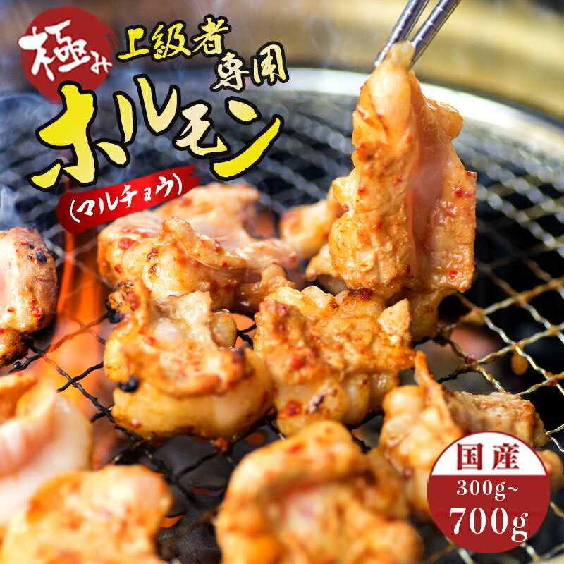 【ふるさと納税】国産 牛 極上 上級者専用 ホルモン ( マルチョウ ) 300g/500g/700g 附属タレ付き ： 冷蔵 丸腸 もつ鍋 タレ揉み 中元 ギフト お祝い