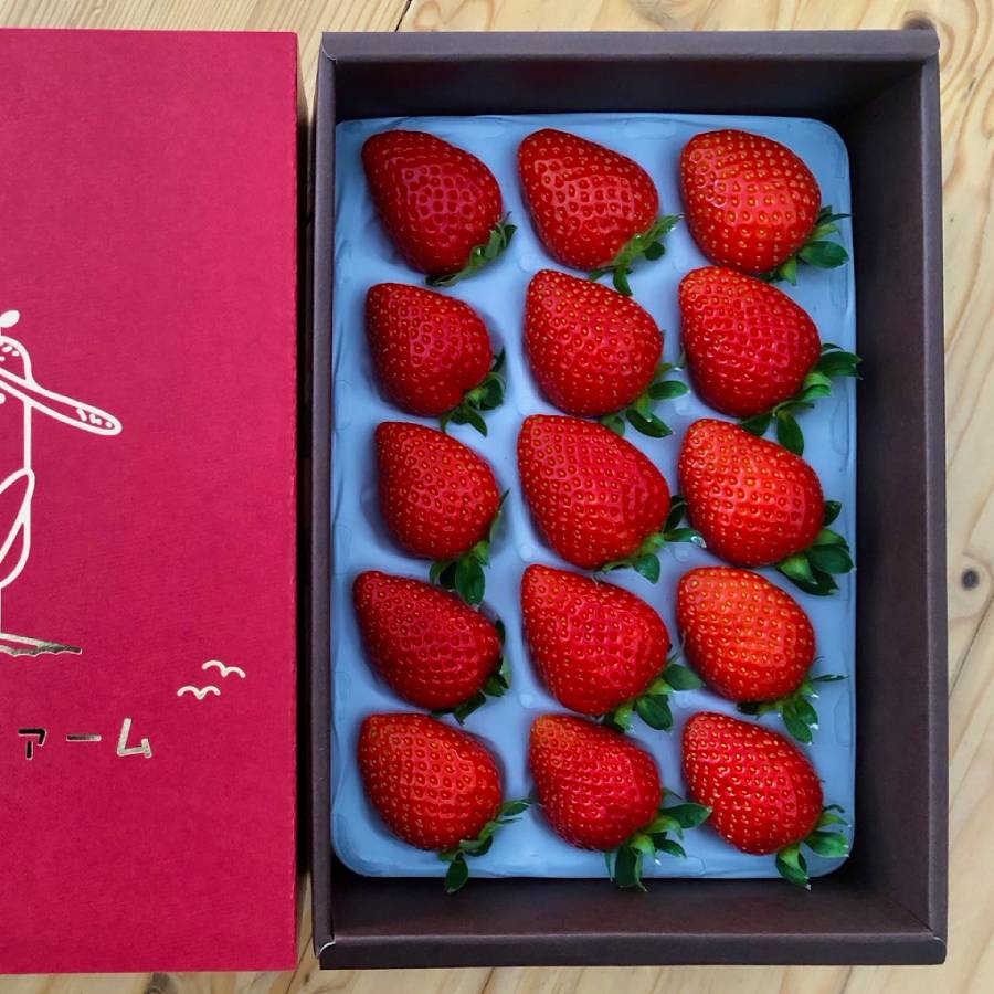 ＜かもめファーム＞「かおり野」400g（9～15玉）