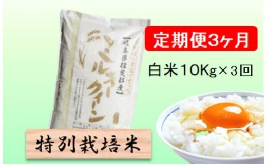 
                  特別栽培米★[定期便] 3カ月★毎月 白米10kg【ミルキークイーン】 米 お米 白米 ミルキー クイーン 定期 岐阜県 池田町 [№5644-1553]
                