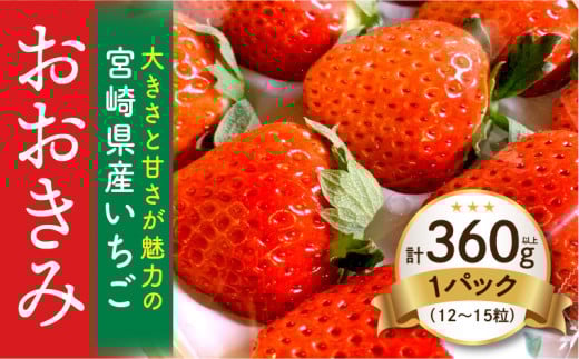 《2026年発送》【数量・期間限定】宮崎県産いちご「おおきみ」1パック(計360g以上：12粒～15粒)_M260-001
