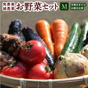 【ふるさと納税】UIC 名水うきはの無農薬減農薬お野菜セットM