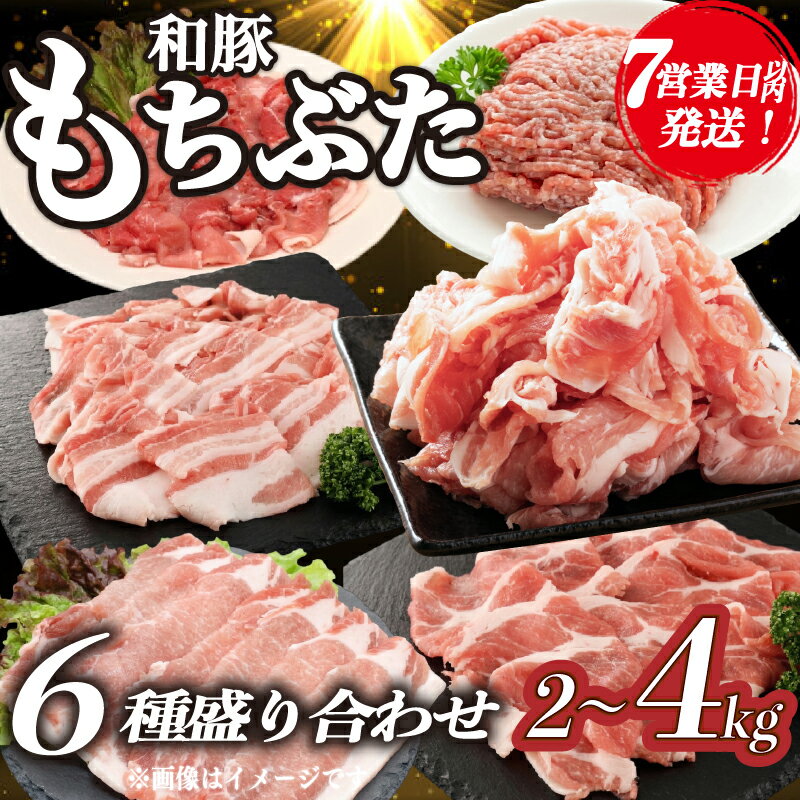 【ふるさと納税】 スピード配送 7日以内発送 豚肉 和豚 もちぶた バラエティパック 2kg 4kg 肩ロース バラ ロース もも ひき肉 小間切れ 食べ比べ ブランド豚 和豚もちぶた 豚肉 肉 にく 肉料理 夕食 ポーク おかず 小分け 便利 肉の片山 新潟県 新発田市 katayama007P