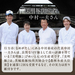 【2026年8月より順次発送】焼売 美明豚「びめいとん」のジューシー焼売2パック（30g×20個×2袋）｜シュウマイ 焼売 美明豚 びめいとん 肉 肉加工品 豚肉 お肉 ジューシー 茨城県 行方市(H