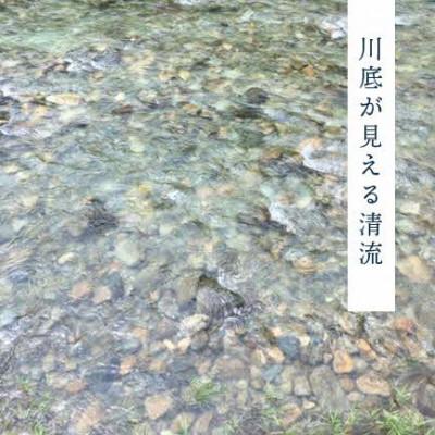 ふるさと納税 浜田市 【令和7年産】《10月より順次発送》浜田市金城町産こしひかり　2kg×4袋 |  | 02