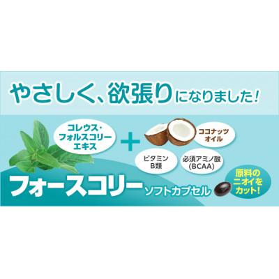 ふるさと納税 袋井市 DHC フォースコリー ソフトカプセル 30〜60日分 6個セット(180〜360日分) |  | 01