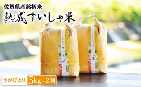 白米 令和7年産さがびより10kg NAO011 白米