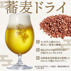 TENDO BREWERY クラフトビール 10本 セット 【 グラス 付き 】 ビール 07-37-008