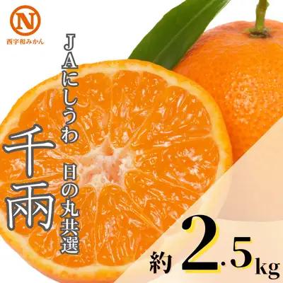 【先行受付】JAにしうわの季節の柑橘(日の丸共選 「千兩」 約2.5kg)【C08-77】 YWTV034