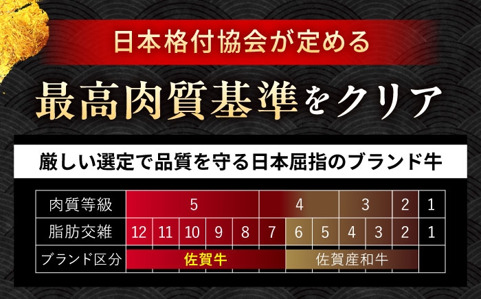 佐賀牛 切り落とし 400g × 2パック 計 800g | 牛肉 小分け 佐賀牛 切り落とし |