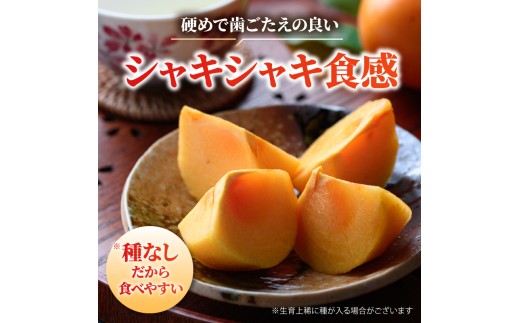 【先行予約】2026年度発送 玉城町産玉城次郎柿 訳あり品 約10kg 【 訳あり 柿 早生次郎柿 フルーツ 果物 甘柿 2026年10月下旬～11月下旬発送 】