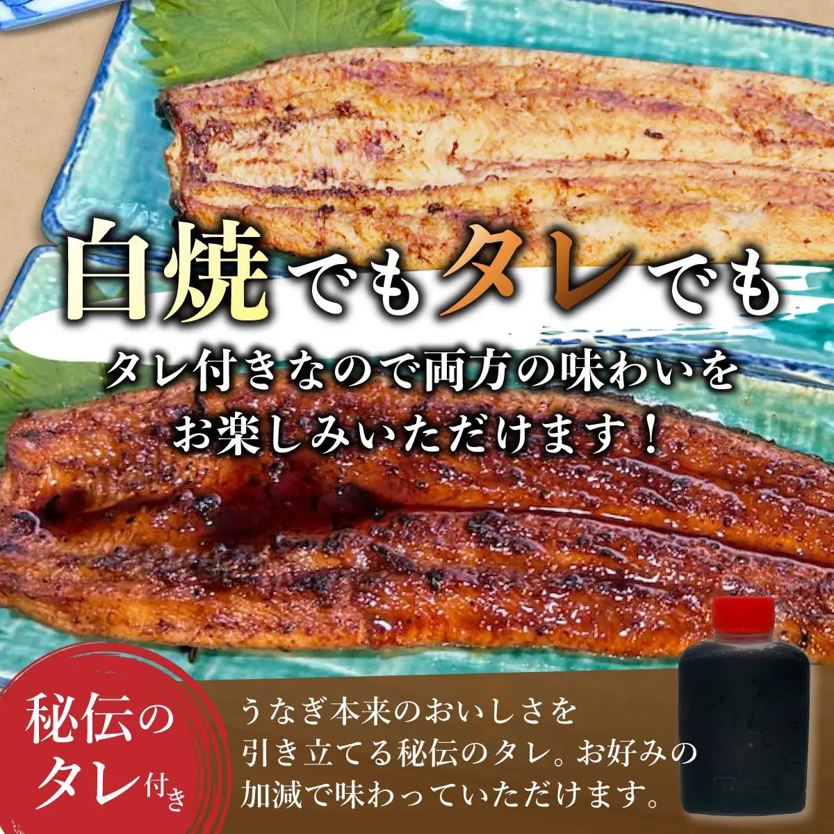 ひじりうなぎ白焼き 1尾 150g【19ui-0005】