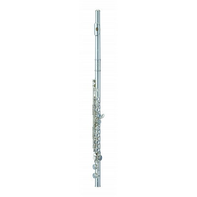 【ふるさと納税】Flute《管体・座金・ポスト・リング銀製Ag925》フルート　エレガンテ【F-ED925/E】1台【1494385】