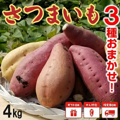【ふるさと納税】さつまいも3種おまかせ4kgセット【1185863】