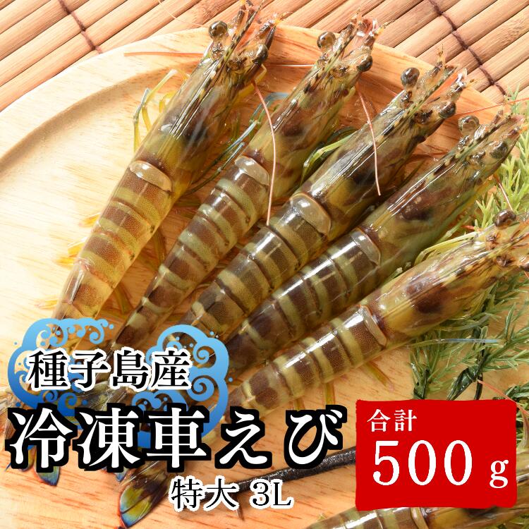 【ふるさと納税】 ＼数量限定／ 種子島産 真空パック 冷凍 車えび 特大 3Lサイズ 500g (250g×2パック) ふるさと納税 車海老 冷凍 ふるさと納税 大 えび 種子島 の 養殖 車えび 化学薬品等不使用で安心・安全 ふるさと 人気 ランキング