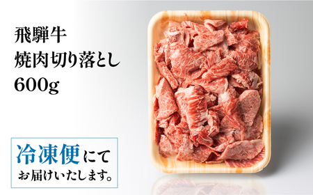 飛騨牛 焼肉 切り落とし 600g 訳あり 訳アリ 不揃い カルビ 牛肉 肉 バーベキュー BBQ 和牛 贈答 ギフト 焼き肉 切り落とし わけあり ふぞろい ワケアリ 15000円 おすすめ 岐阜県