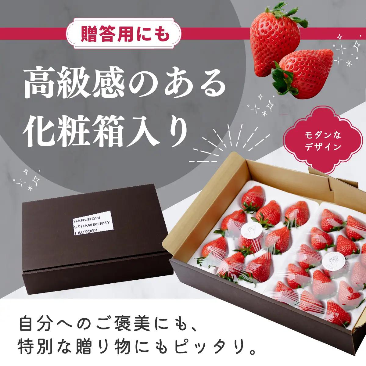 いちご 大粒完熟いちご「やよいひめ」400g