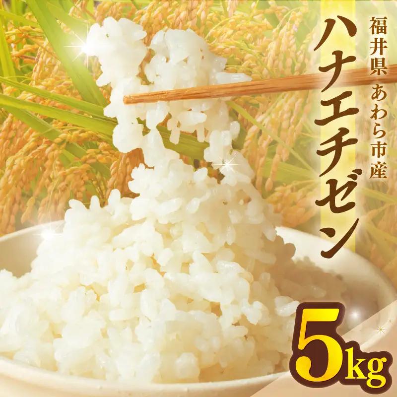 【先行予約】【令和8年産 一等米】ハナエチゼン 精米 5kg （長谷川農園） 単一原料米  ※2026年10月より順次発送予定 [aw139-a003]
