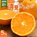 【ふるさと納税】【限定】 こだわりの 清見 オレンジ 【訳あり 家庭用】 5kg 藤秀園 【ミカン 蜜柑 柑橘 温州みかん 和歌山 有田 楽天限定】【清見 みかん オレンジ タンゴール きよみ 柑橘 和歌山】