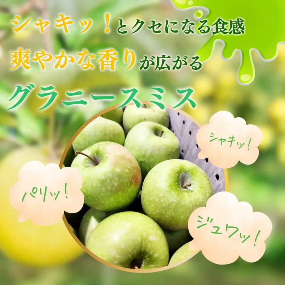 フルーツファーム中村農園　【10月下旬発送 先行予約】樹上熟成　グラニースミス 3kg | りんご グラニースミス 青りんご 加工用