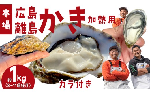 殻付き生牡蠣 冷蔵 約1kg ( 加熱用 ) 8〜11個程度 【1月中旬〜3月発送】 瀬戸内の離島から届く牡蠣 先行予約 牡蠣ナイフ 軍手付き カキ 牡蠣 殻付き かき 殻付 広島産 お取り寄せ 魚介 魚介類 貝類 バーベキュー BBQ 瀬戸内 大崎上島