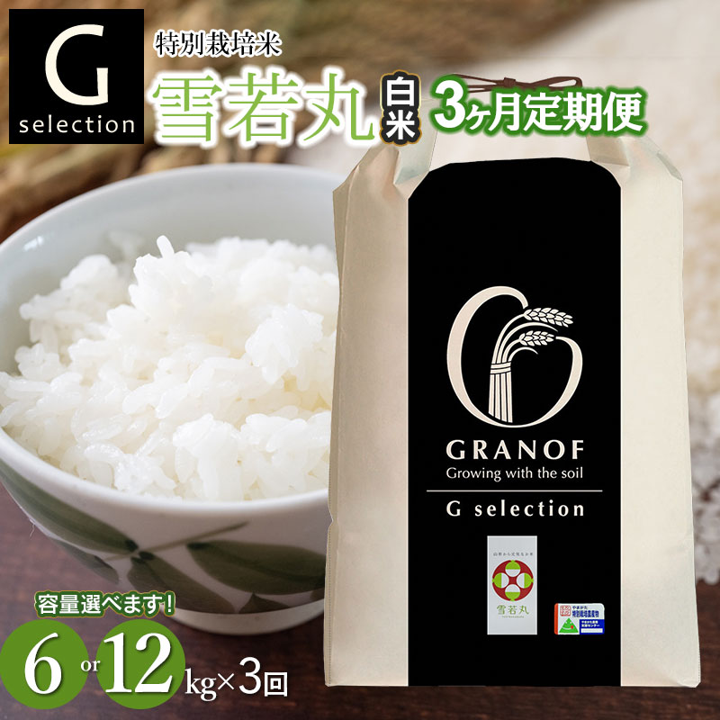 【ふるさと納税】令和7年産【新米】Gセレクション 雪若丸 精米(白米)　3ヶ月定期便（毎月1回中旬発送） 山形県鶴岡産　選べる容量(6kg or 12kg)　株式会社グラノフ