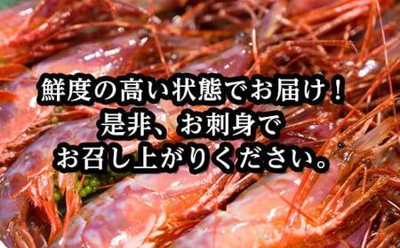 幻のえび！北海道 知床 羅臼 ぶどうえび（中・250g /7～8尾） エビ 海老 ブドウエビ 羅臼町 北海道 魚介類 魚介 海産物 冷凍 生産者 支援 応援