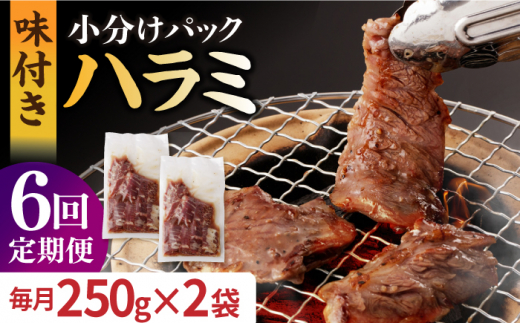 【6回定期便】ハラミ【塩だれ】九州産和牛ハラミ 毎月250g×2袋（計3kg）長与町/岩永ホルモン [EAX160] 国産 牛肉 ハラミ 牛ハラミ はらみ 小分け 味付き サガリ 焼肉 焼き肉 塩 しお 冷凍 焼肉 焼き肉 やきにく 九州 定期便 ていきびん 定期
