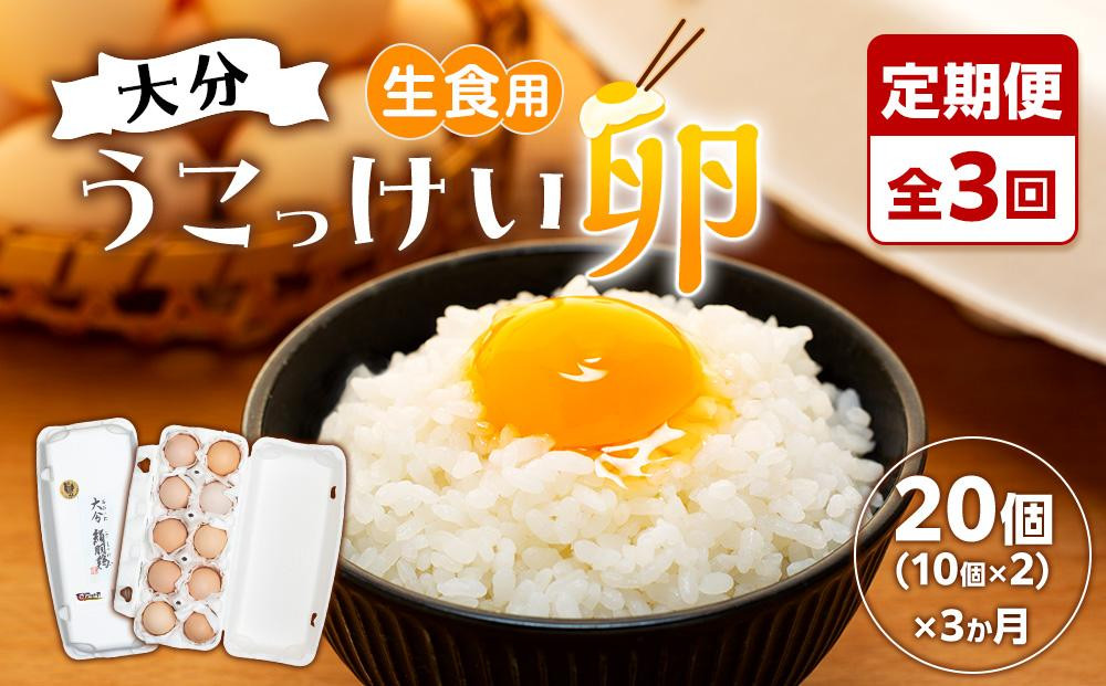 
【定期便 全3回】大分うこっけい卵　生食用20個（10個×2）×3回
