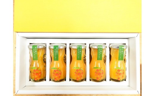 ＜当社人気商品＞宮古島のしあわせマンゴー　小瓶５本セット【90ｇ×5本】（T113）