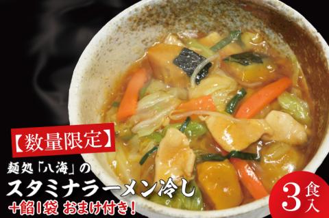 【日時指定必須】日曜朝のTVで紹介されました！麺処「八海」のスタミナラーメン冷し（３食入り）【数量限定】+餡１袋 おまけ付き！【我流食堂 ラーメン 麺 スタミナ 冷やし ラーメン ご当地ラーメン ご当地グルメ 茨城県 水戸市】（FF-6）