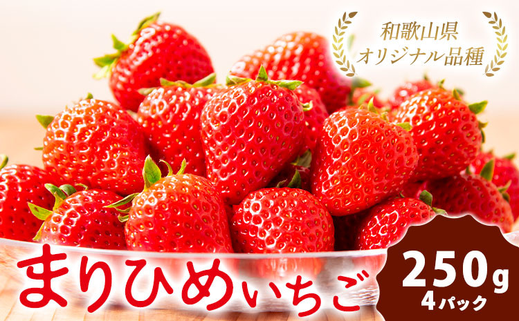 
                  【先行予約】紀州和歌山県ブランドいちご「まりひめ」約250g×4パック 計1kg 株式会社魚鶴商店《2027年3月上旬-3月下旬頃出荷》和歌山県 日高町 いちご 苺 まりひめ フルーツ 果物 スイーツ 送料無料
                