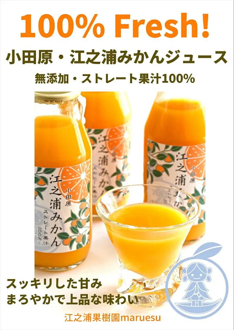 【定期便（2カ月ごと全6回）】 小田原産江之浦みかんジュース３種のみくらべ３０本セット うんしゅう・なつみ・バレンシアオレンジ１００％ストレートジュース１８０ml各１０本合計３０本【みかんジュース み