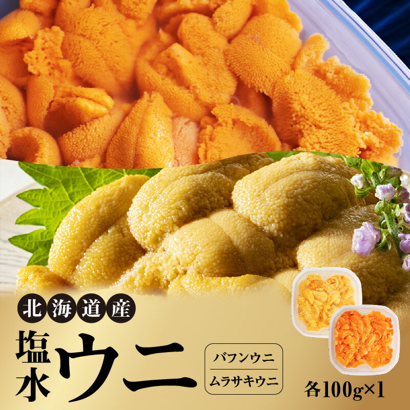 【ふるさと納税】北海道産 世壱屋塩水ウニ（ ムラサキウニ ＆ バフンウニ ）各 100g 冷蔵 国産 身がしっかり 濃厚 甘み 強い ウニ 魚介類 海鮮 海の幸 北海道 余市町 世壱屋 お取り寄せ お取り寄せグルメ 送料無料