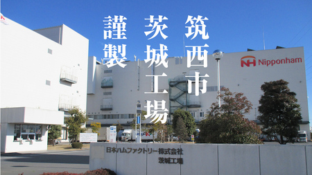 日本ハム 筑西工場 ギフトセットA 肉 にく 贈答 ギフト 詰め合わせ ハム ソーセージ ウィンナー 生ハム [AA079ci]