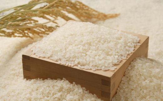 
                  8-180-001　増毛町産ななつぼし10kg×6ヶ月（10月～3月）【木谷農林】
                