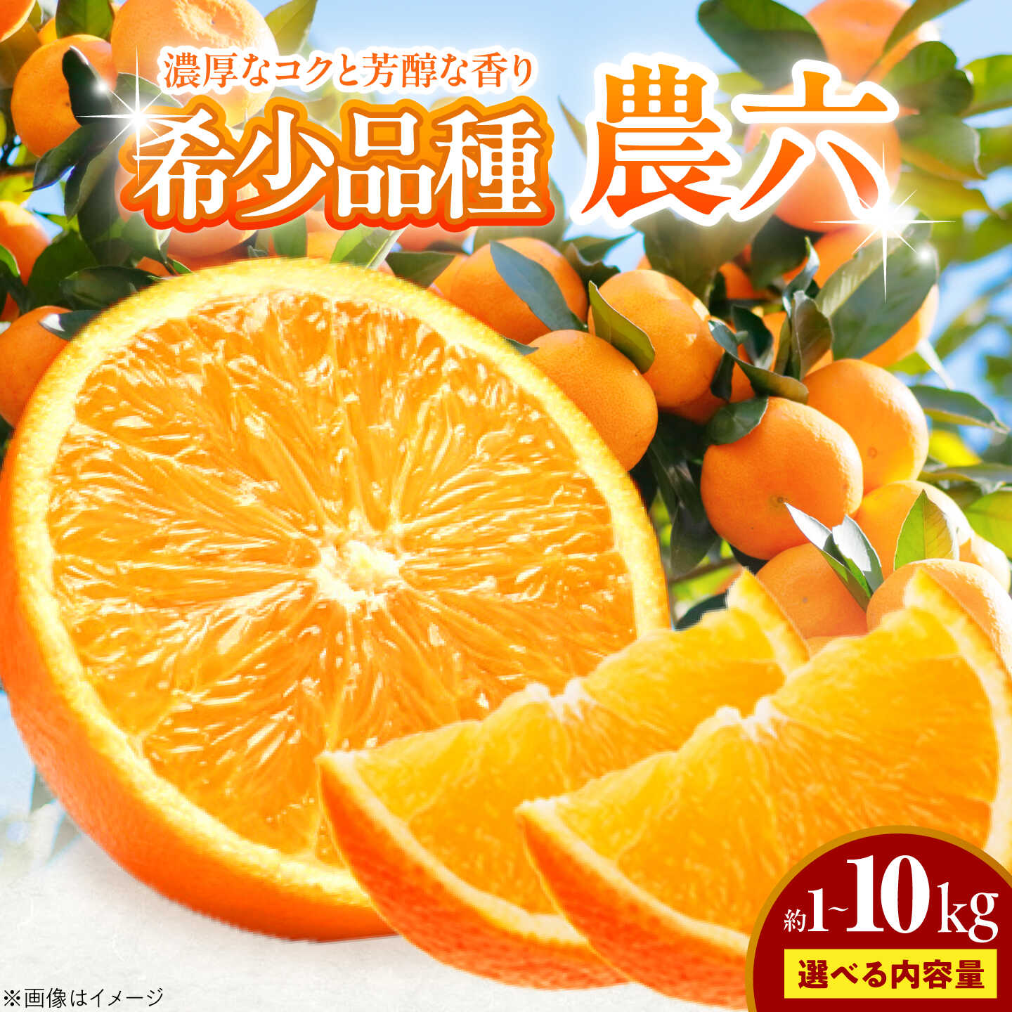 【ふるさと納税】【選べる容量】みかん 農六 約1〜10kg【2月上旬から3月下旬まで順次発送】 / フルーツ 果物 蜜柑 ミカン オレンジ 小玉 甘い 先行予約 5kg 愛媛 果汁 さっぱり プレゼント 柑橘 かんきつ 人気 おすすめ / 愛媛県砥部町/和氣隆司[BJBF001]