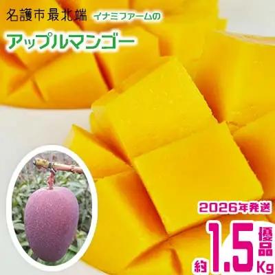 【2026年発送】名護市最北端イナミファームの　優品　アップルマンゴー 約1.5kg フルーツ 果物 期間限定 数量限定 マンゴー 南国 プレゼント お土産 おみやげ ギフト くだもの 季節 おきなわ