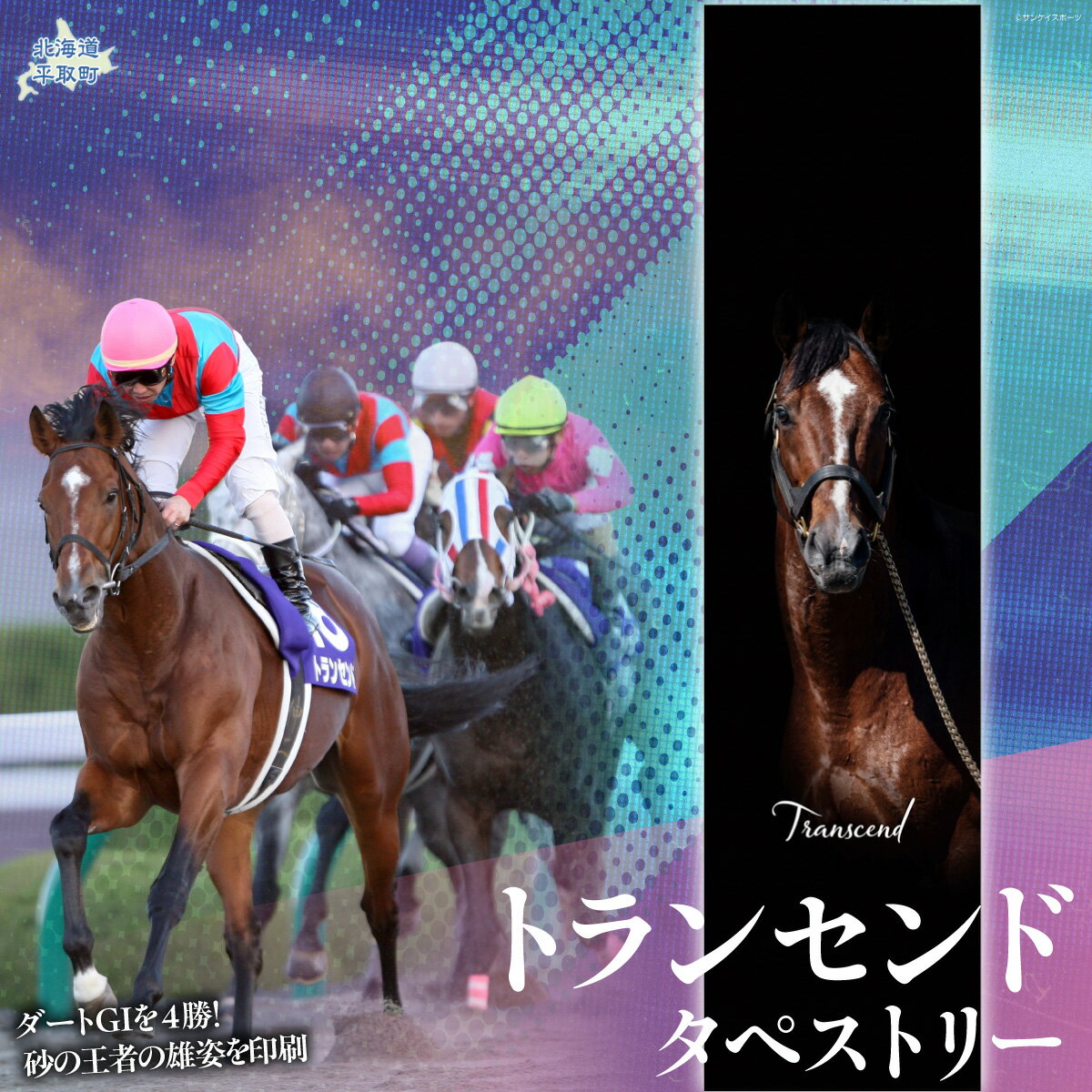 【ふるさと納税】【トランセンド】タペストリー 【ふるさと納税 人気 おすすめ ランキング 馬 競馬 競走馬 引退馬 トランセンド タペストリー 飾り インテリア 生活 日用品 日高 北海道 平取町 送料無料】 BRTV154